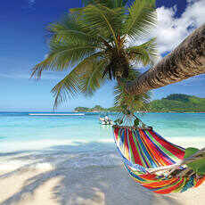 חבילות לסיישל