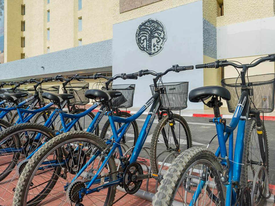 השכרת אפניים