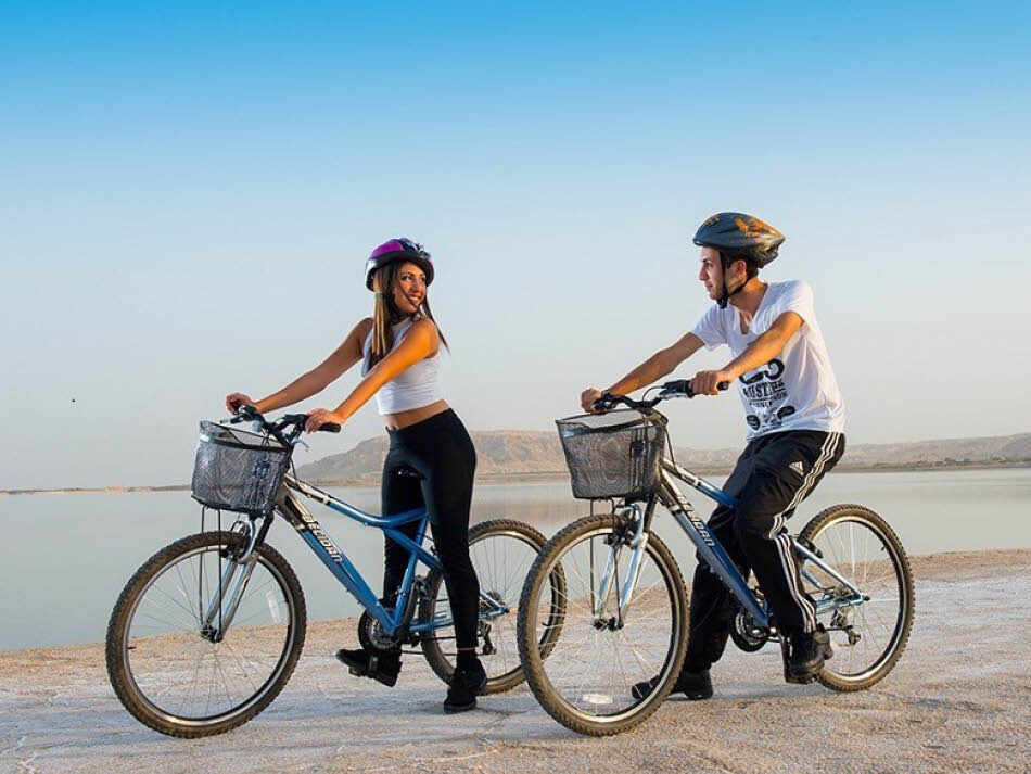 השכרת אפניים