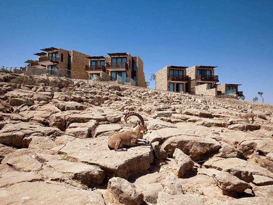 סביבת המלון