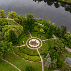 חבילות לטורונטו