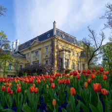 טיסות לסופיה