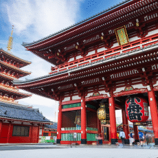 חבילות לטוקיו