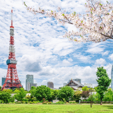 חבילות לטוקיו