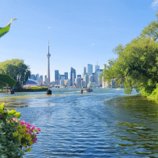 טיסה+מלון בטורונטו